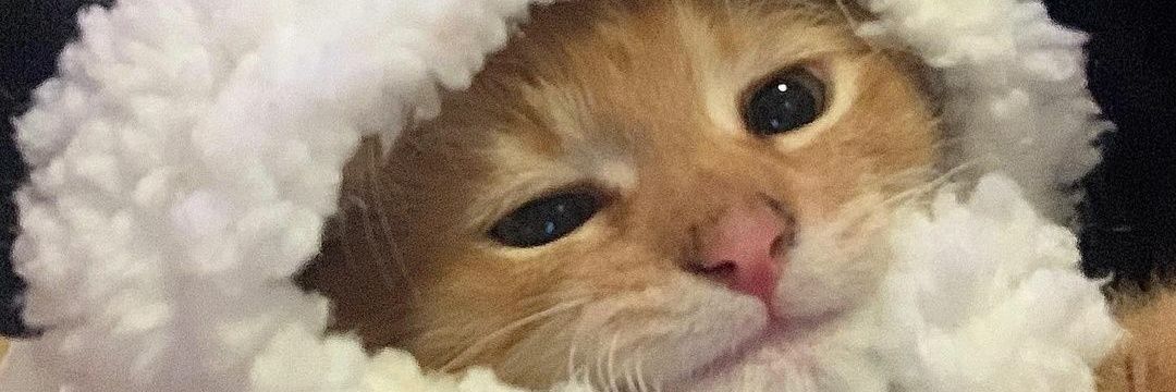 notlikemah's profile banner image