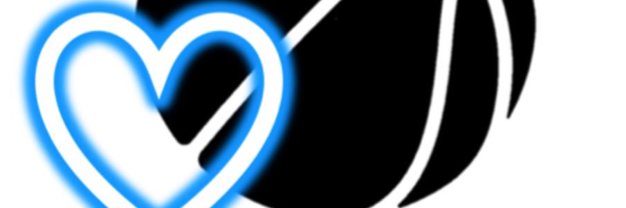 sheloveshoops banner