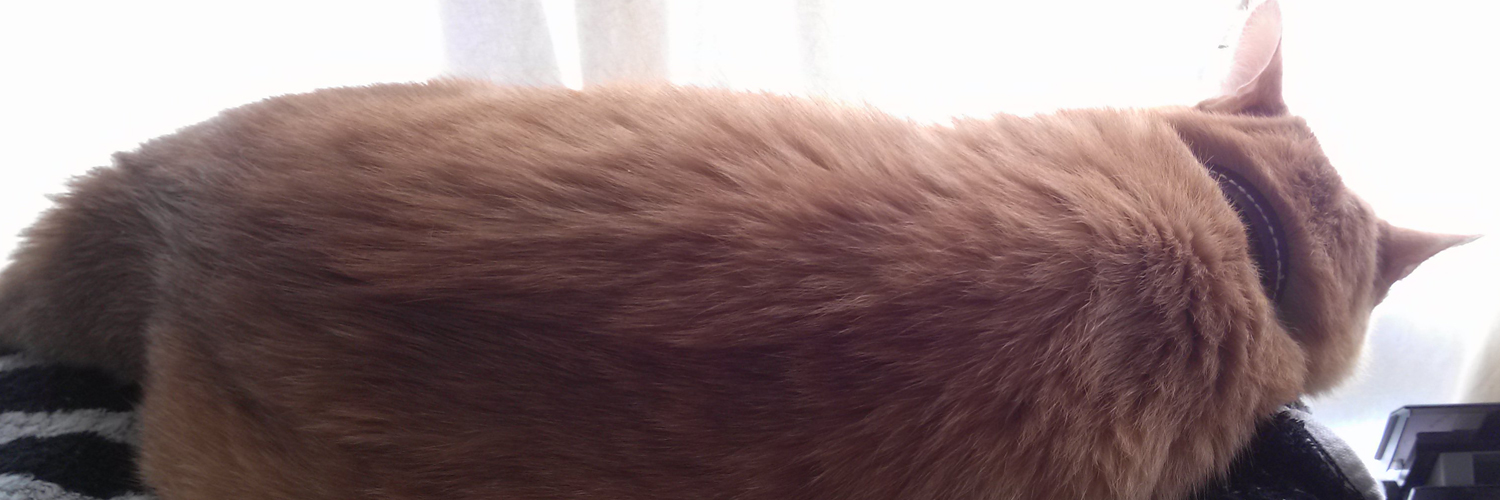 makotau_2's profile banner image