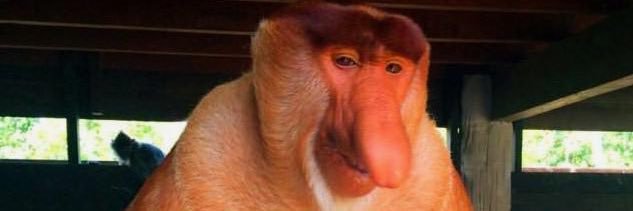 no clever name at this time banner