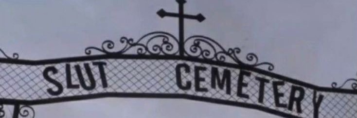 🖤𝖂𝖎𝖑𝖑𝖔𝖜🕷️ banner