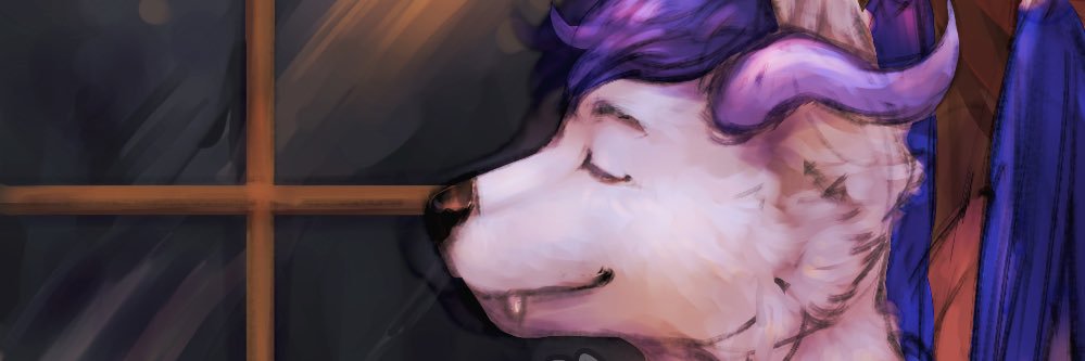 Felix04091's profile banner image