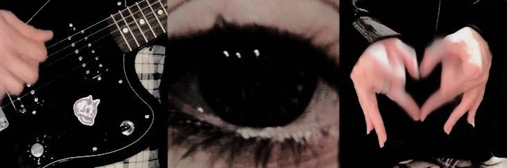 d i l 🐨 banner