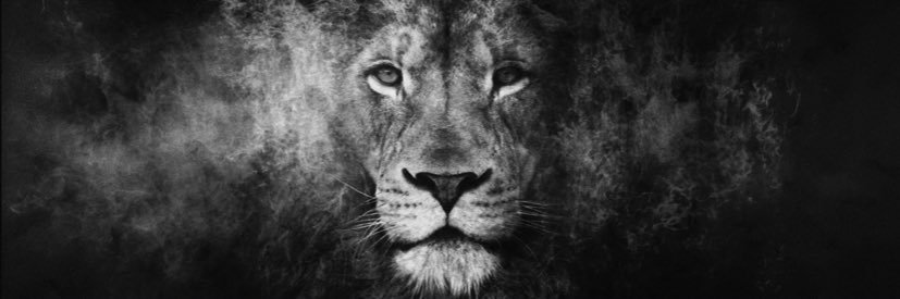 William Hynes banner