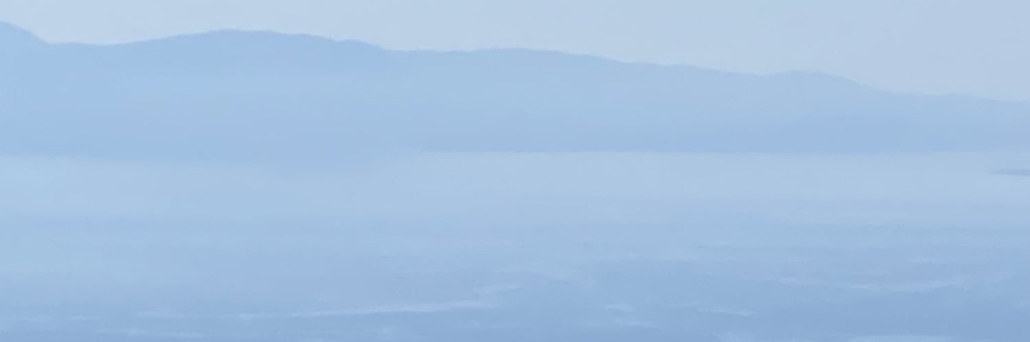 PsiloPlatani's profile banner image