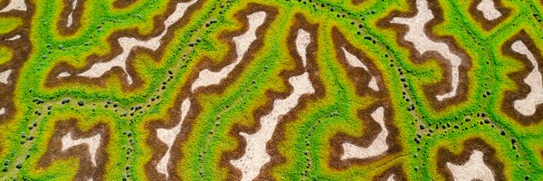 intrepid_p Profile Banner