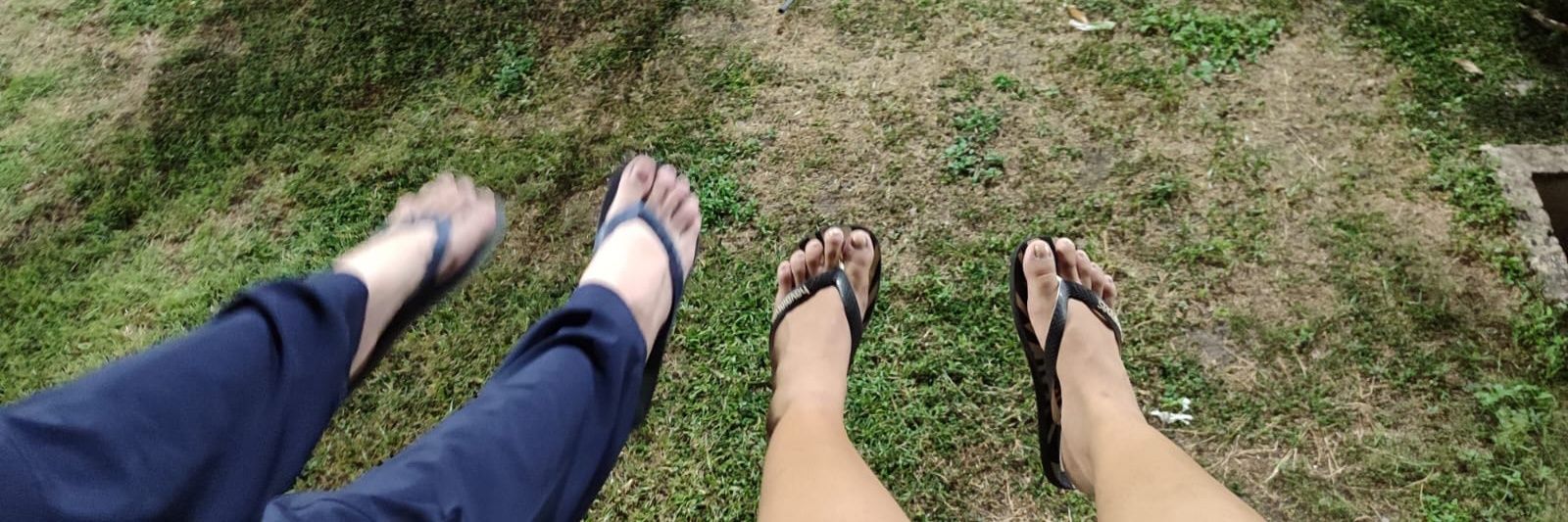 🪷breenovsky🪷 - escola pardomofagem banner