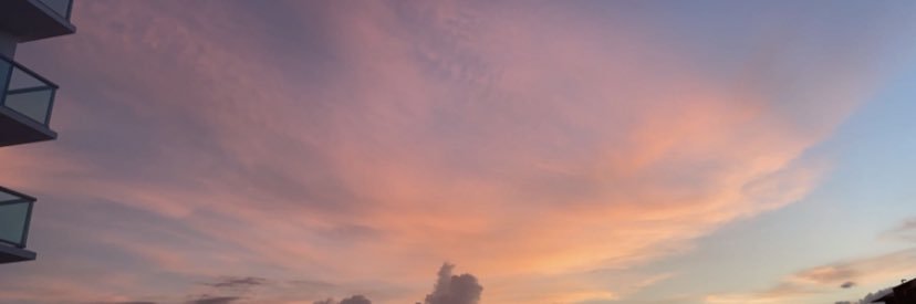 Katie Sullivan banner