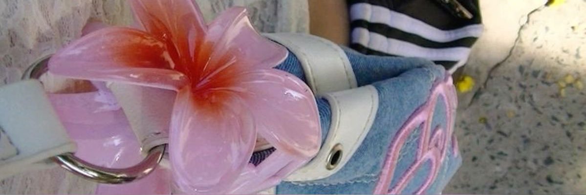 hanijhan's profile banner image