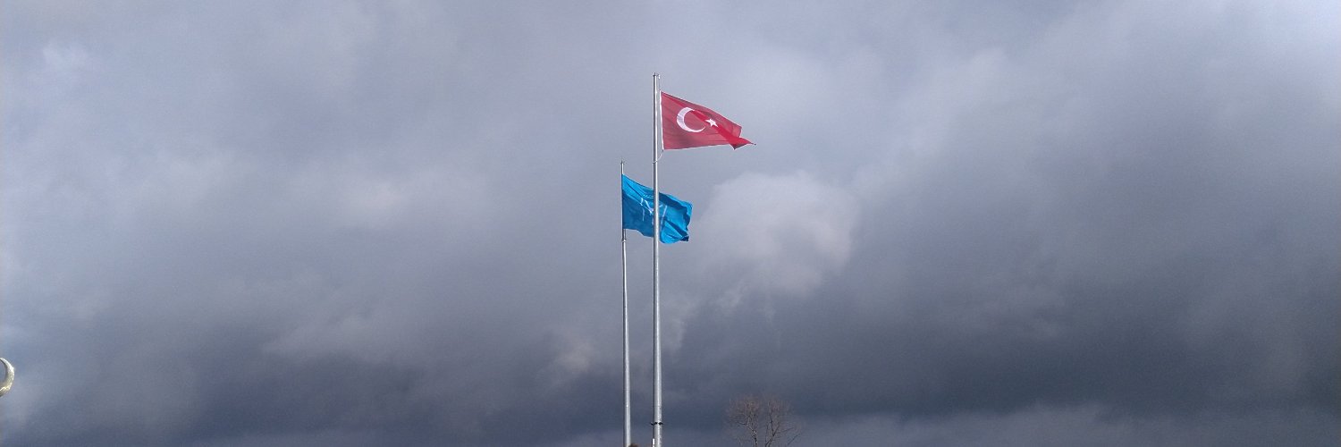 alaaddindundar's profile banner image