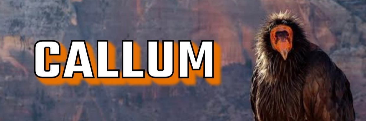 🇦🇺 | ⚡️ banner