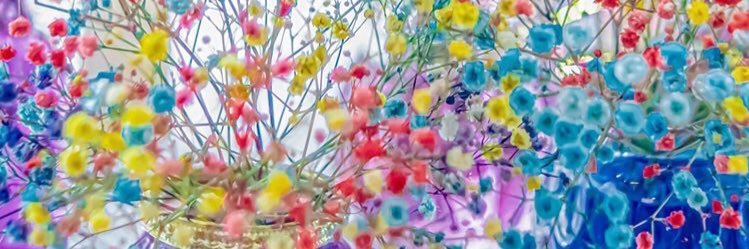 sndn_j's profile banner image