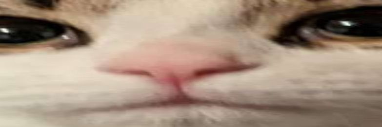 Azunitro's profile banner image
