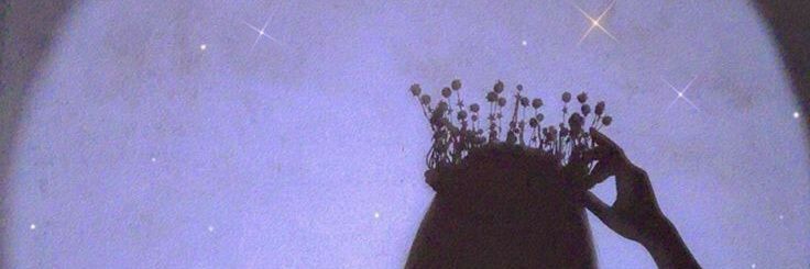 ❥.ᨘ۫.ꪶ 𝕰 𝐥 𝐞 𝐚 𝐧 𝐨 𝐫 banner