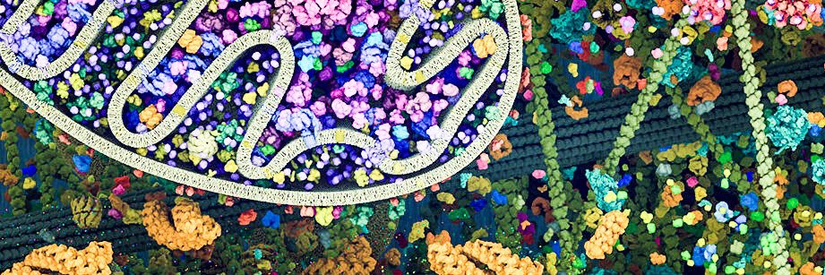 DrLeoRios's profile banner image