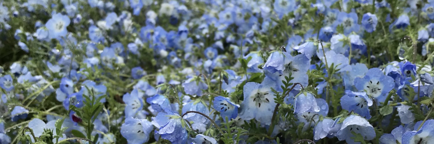 せいとぅーみー！ banner