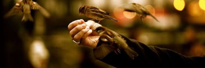inehaydv's profile banner image