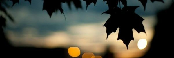 estheruki_2's profile banner image