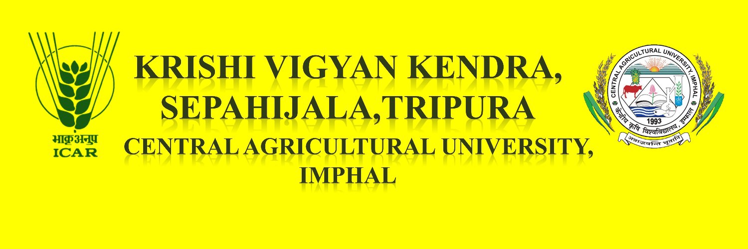 KSepahijala's profile banner image
