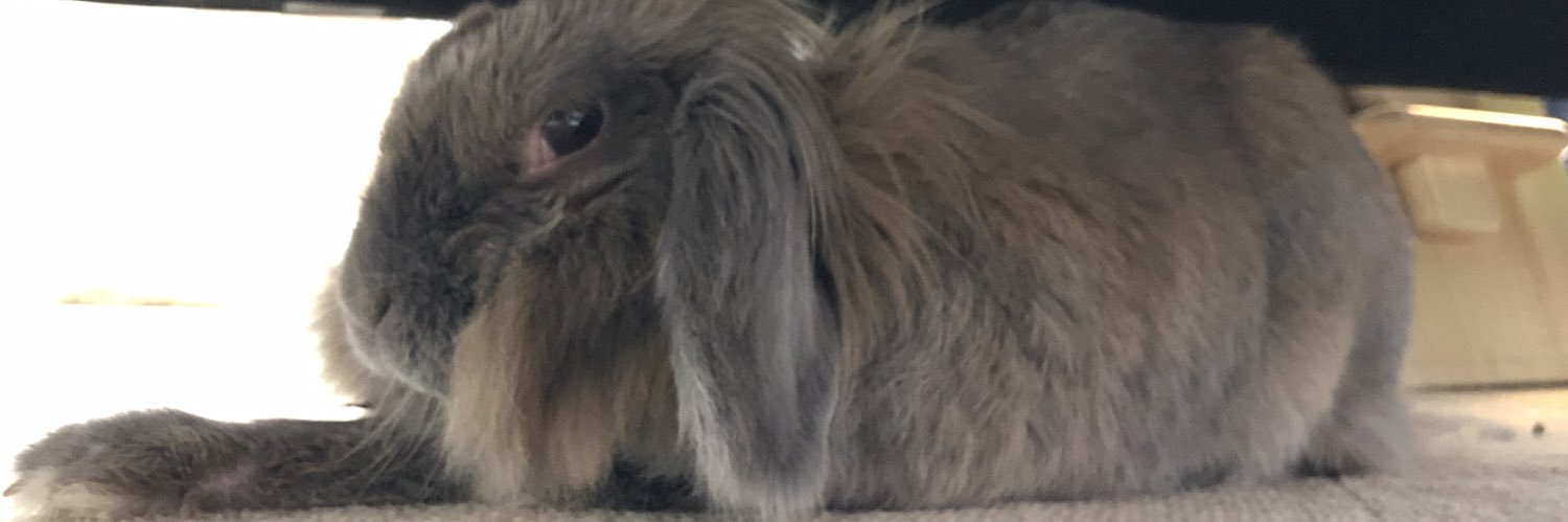 きんぐ@5/23弘前24時間走選手権 banner