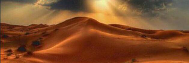 حامد الكندي banner