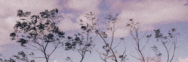iplanetnarry's profile banner image