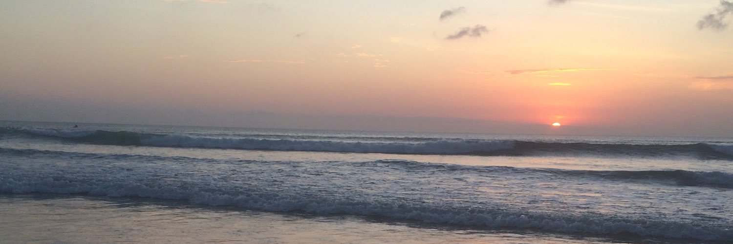 ༘˚⋆𐙚｡⋆𖦹.✧˚ banner