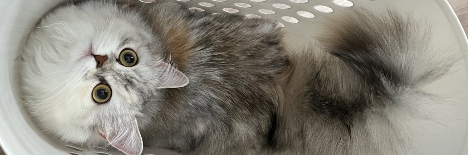 なおねこ banner