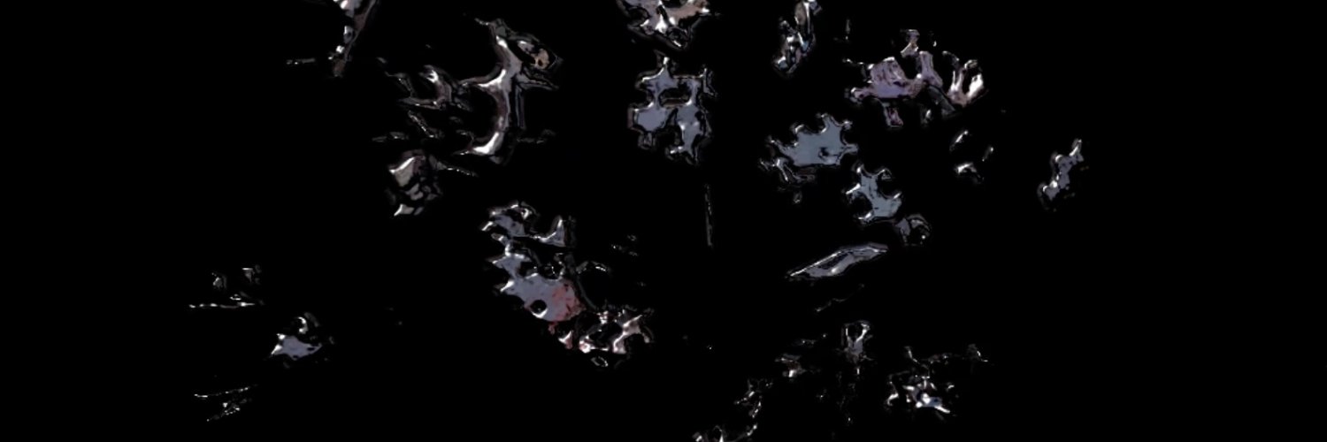 daniel ness banner