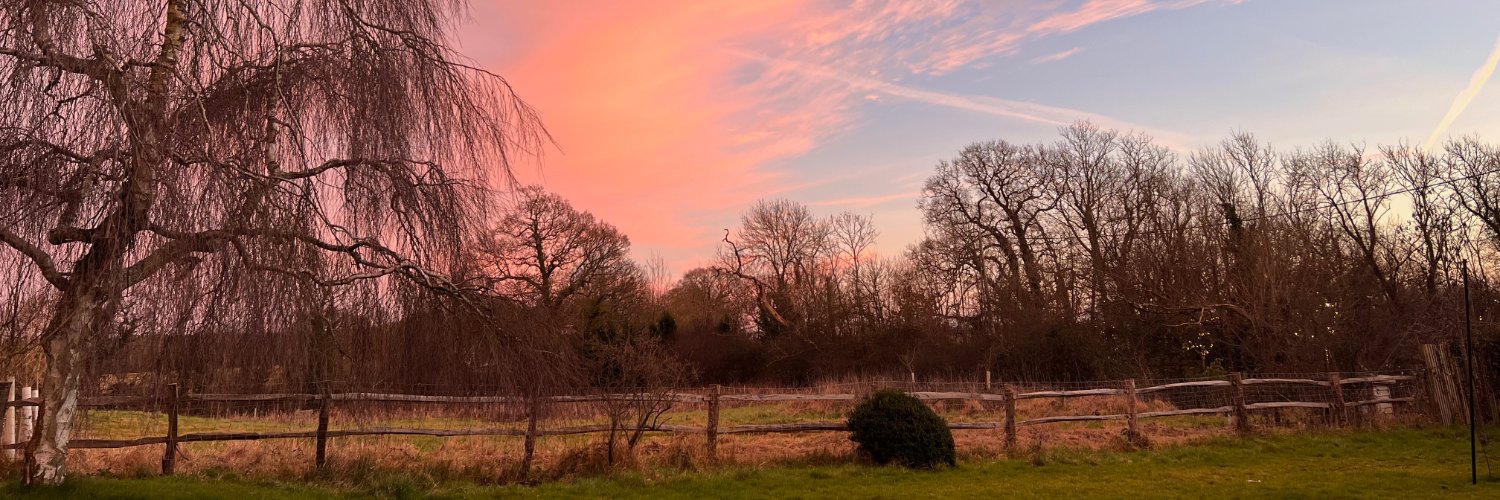 lucycdavies's profile banner image