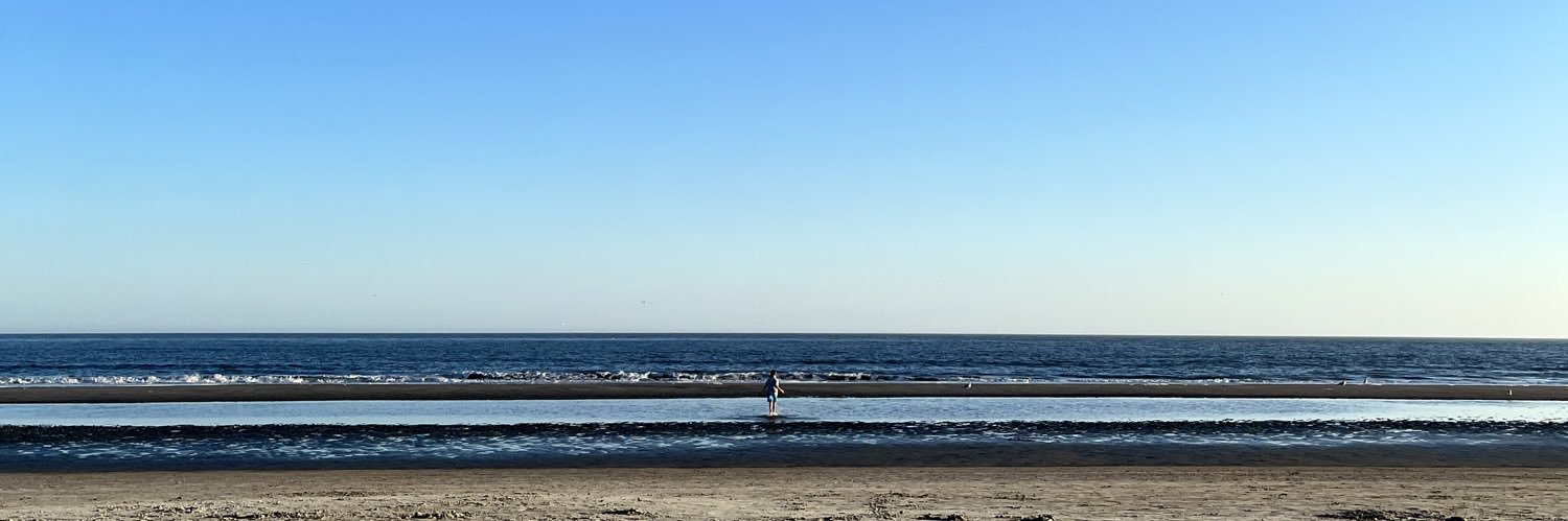 Andreana (Anya) Benitez banner