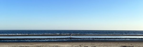 anyabphd Profile Banner