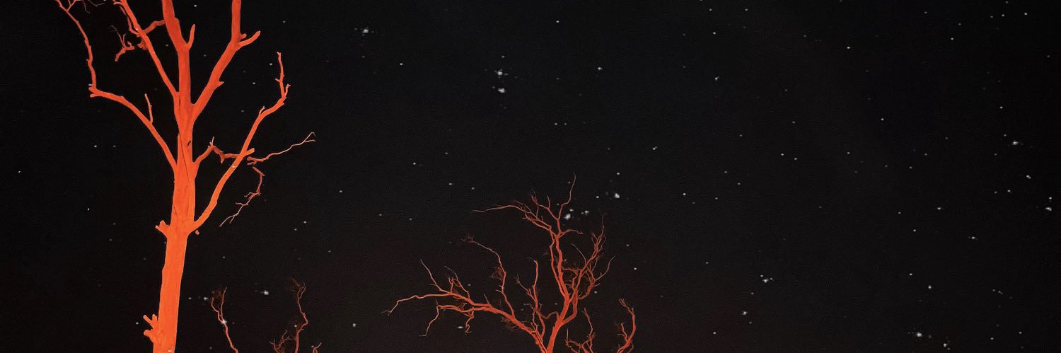 𝒱 banner
