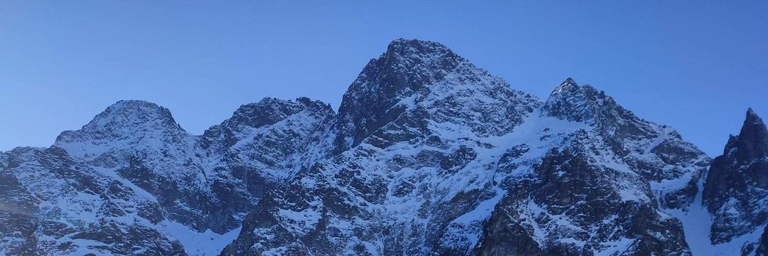 VINIOL_'s profile banner image
