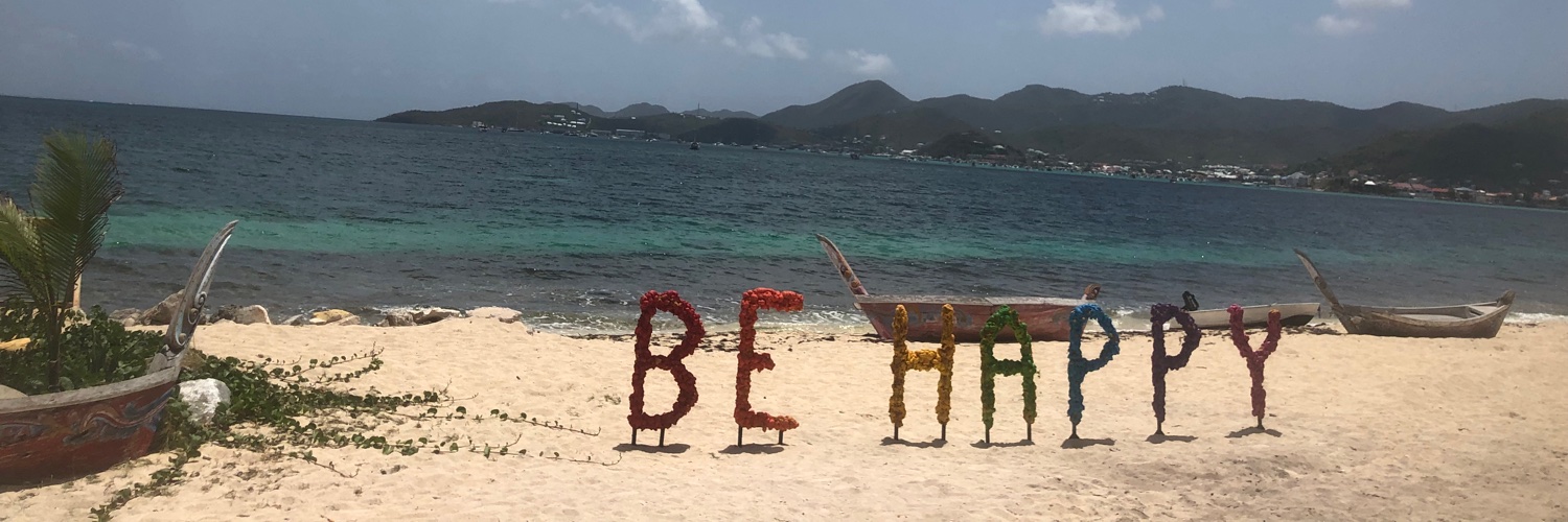 Matthew S. VanDyke banner