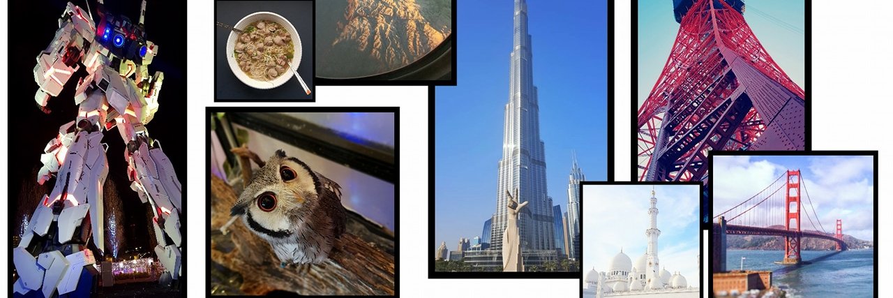 Dingoدِنْقُـوْ banner