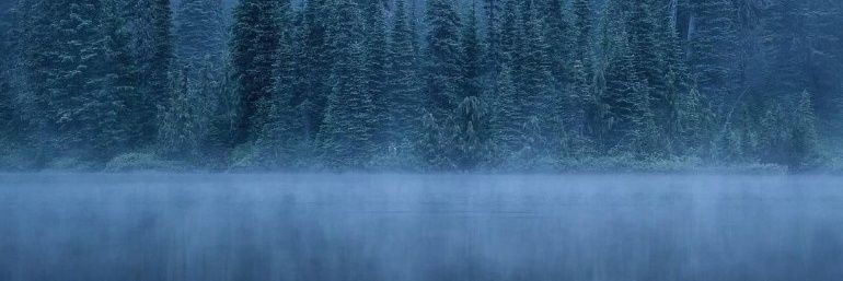 Ravdesh1's profile banner image