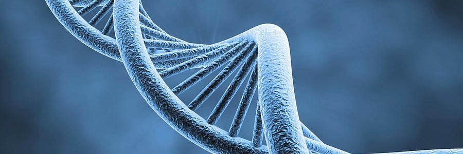 Derek Van Booven banner