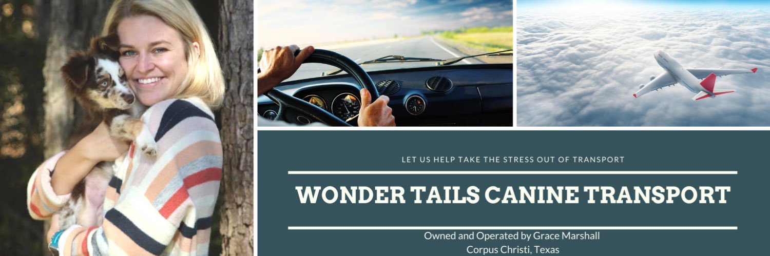 WonderTailsTransport banner
