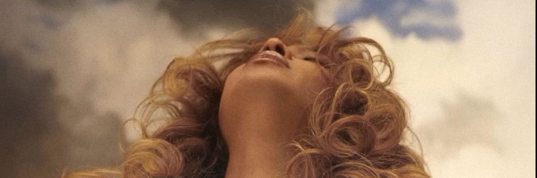 Robin Schnetler banner