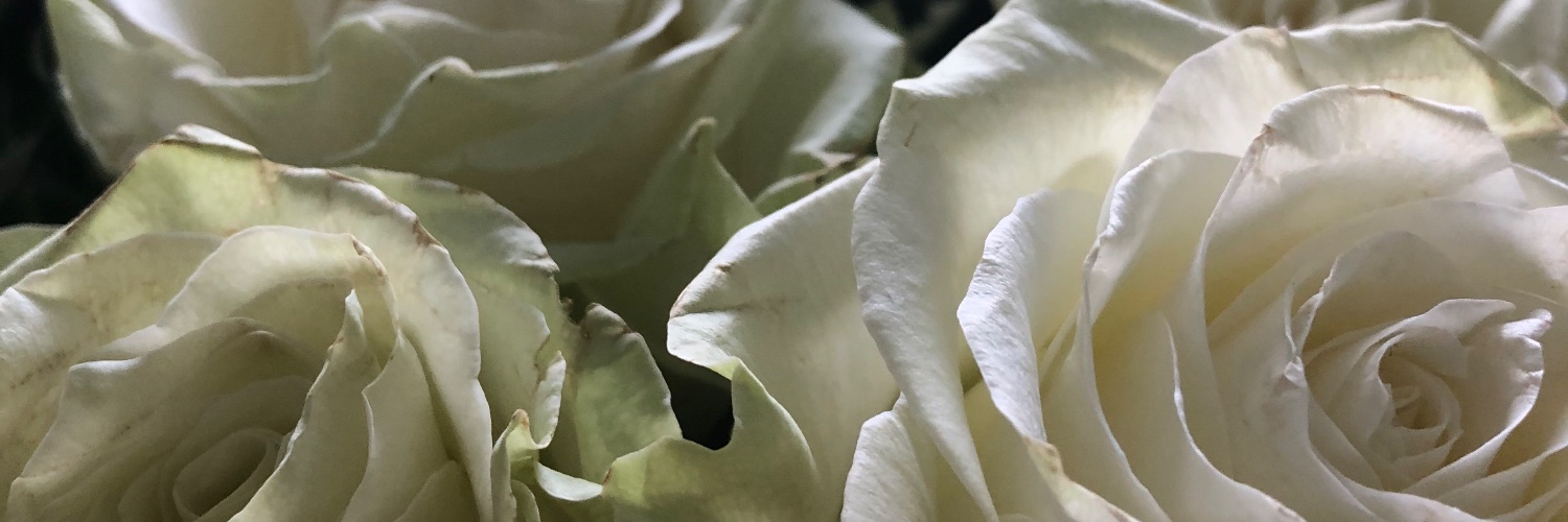 e_Vener's profile banner image