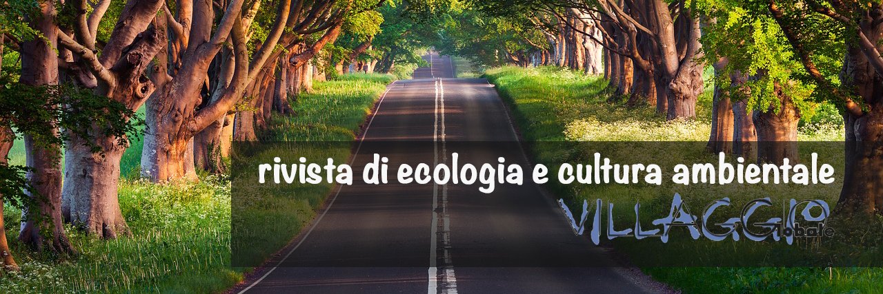 vglobale's profile banner image