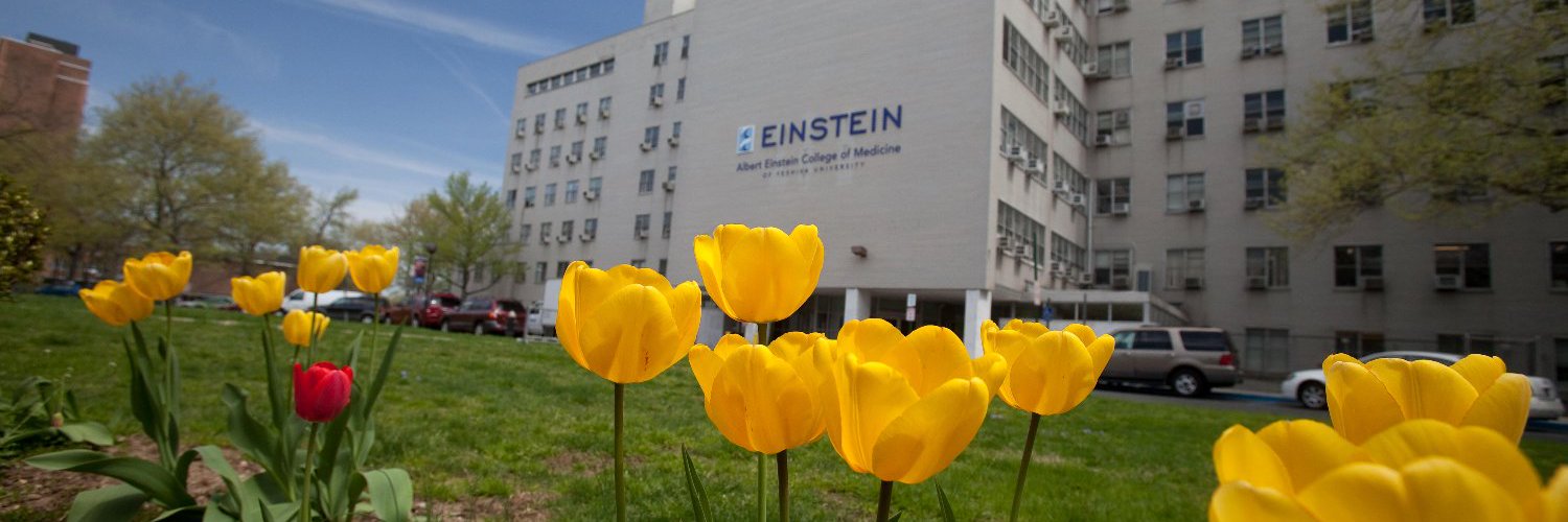 Rose F. Kennedy Center @ Montefiore Einstein's banner