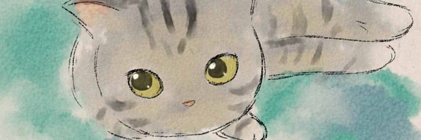 acchu582's profile banner image