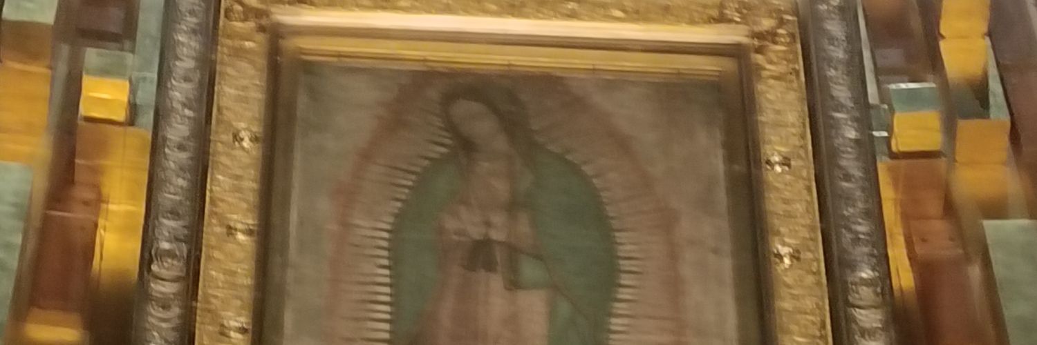 FranRicoToro's profile banner image