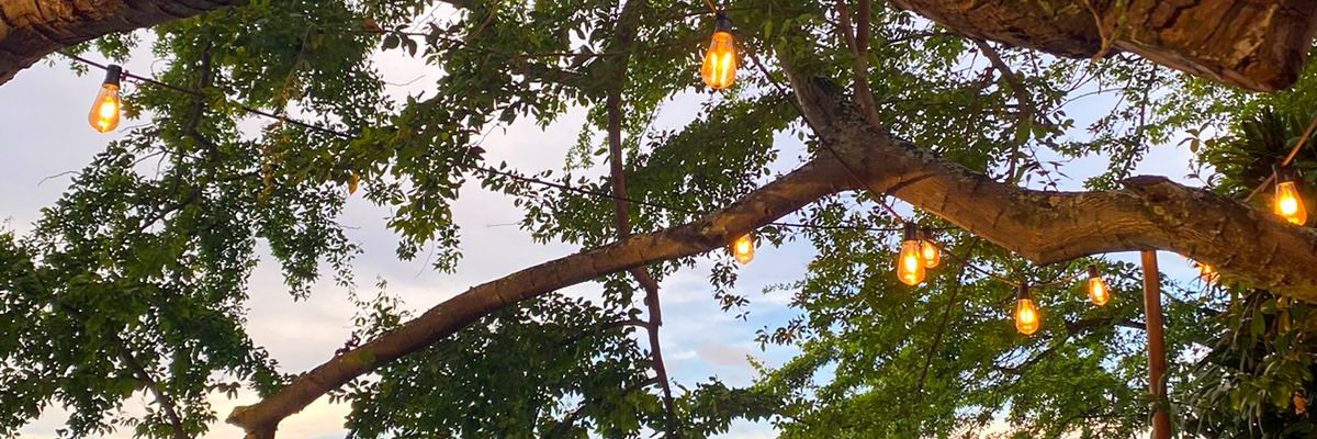 webdivaleticia's profile banner image
