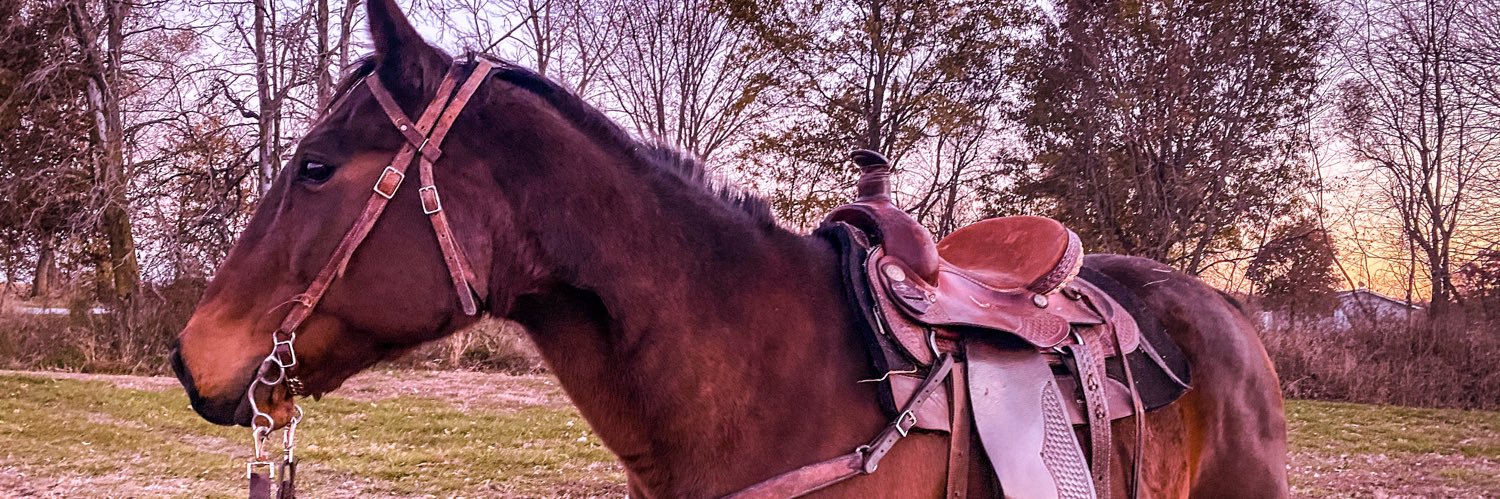 haileyjuneee's profile banner image
