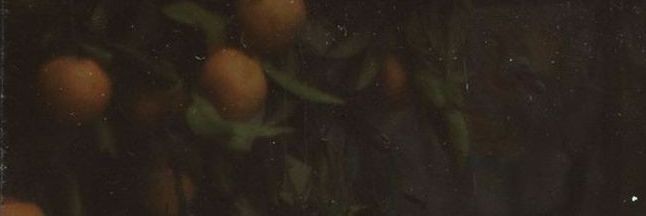 lemon_umm's profile banner image
