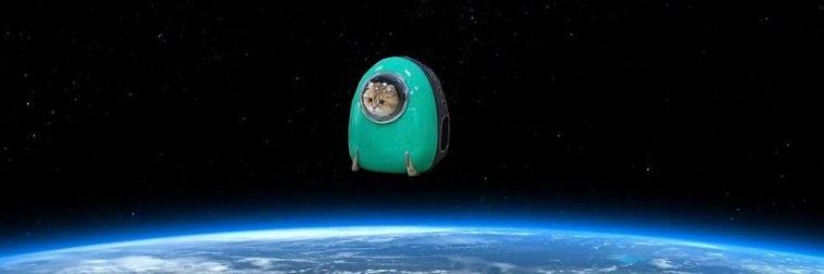 littlegew's profile banner image