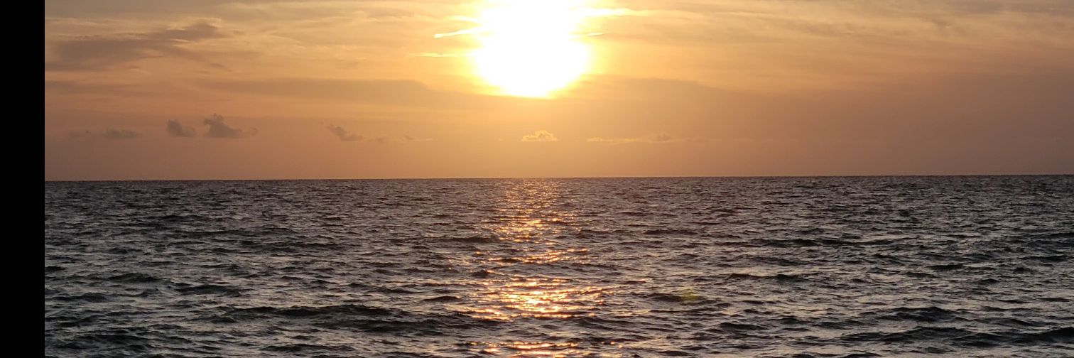 shortirican's profile banner image